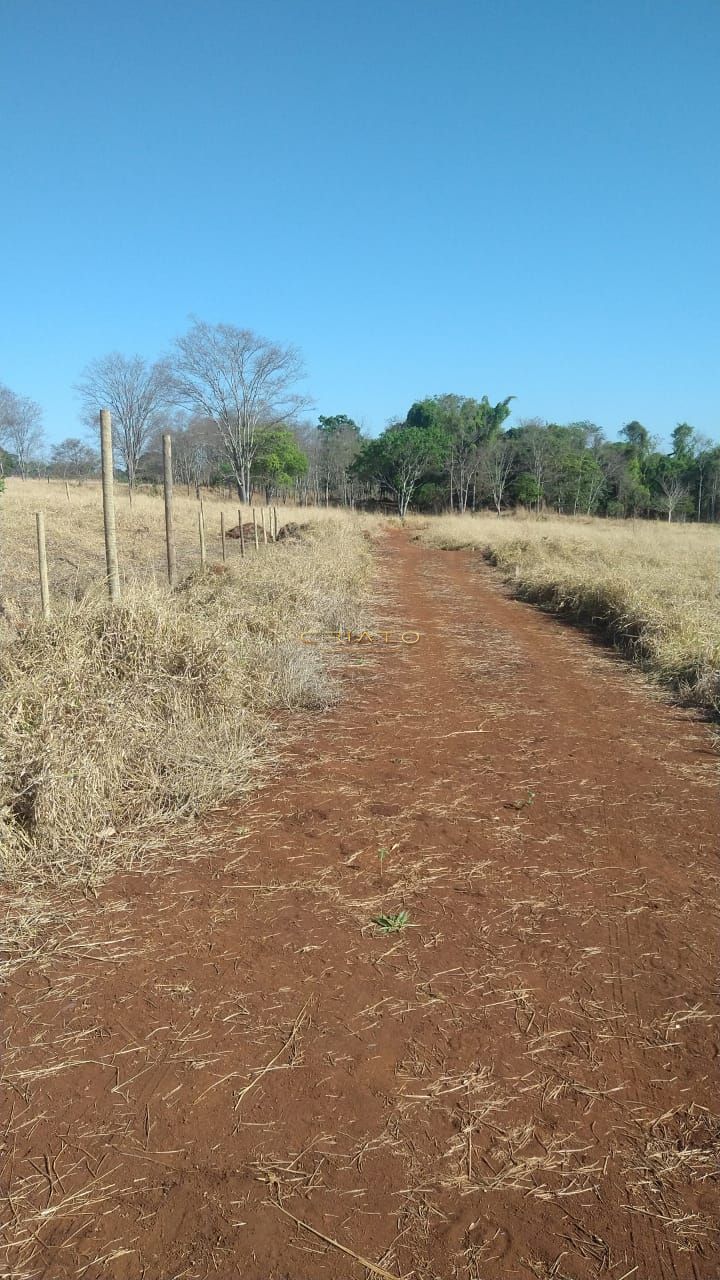 Loteamento e Condomínio à venda, 1000m² - Foto 2