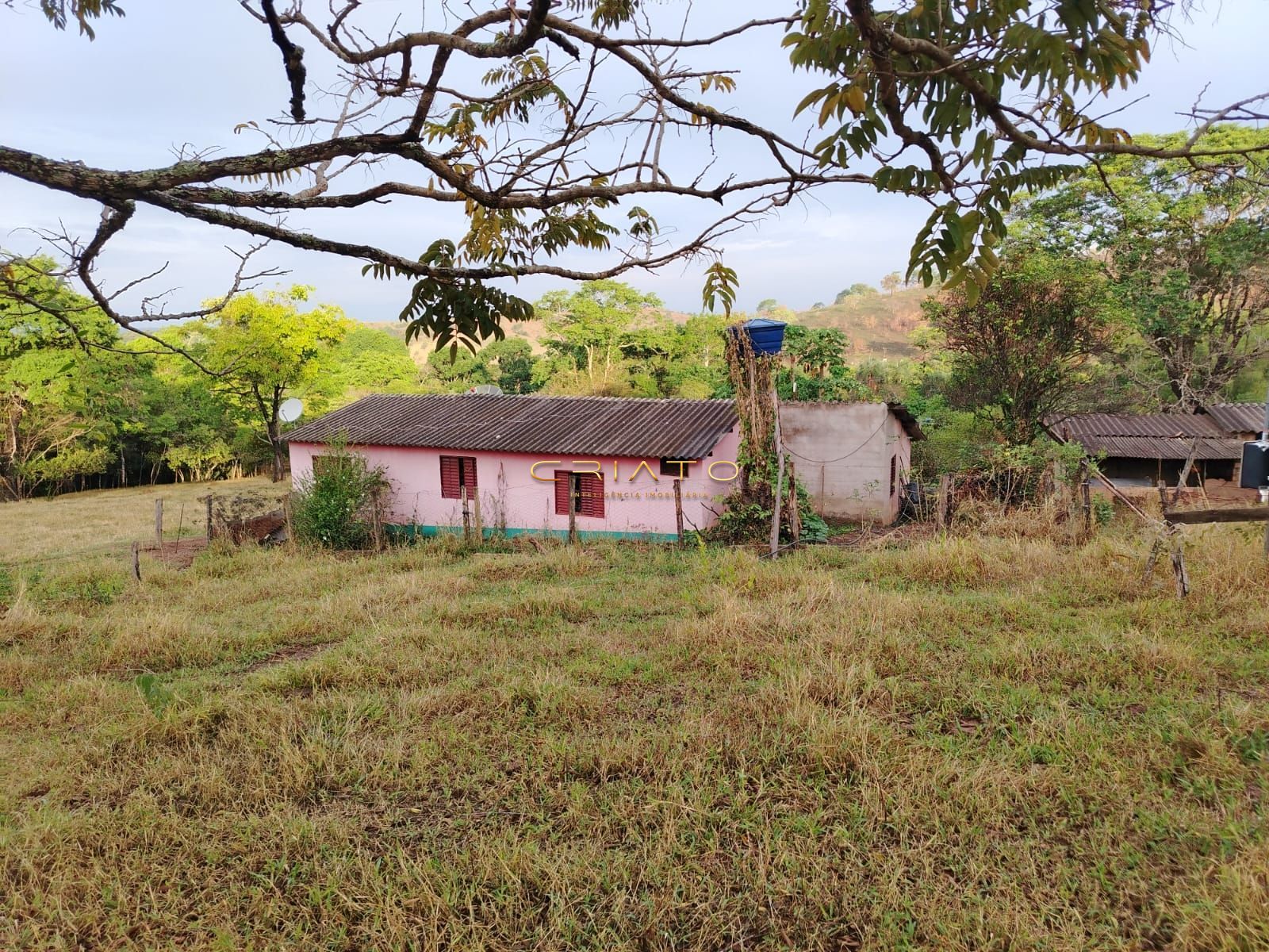 Fazenda à venda com 3 quartos, 5000m² - Foto 6