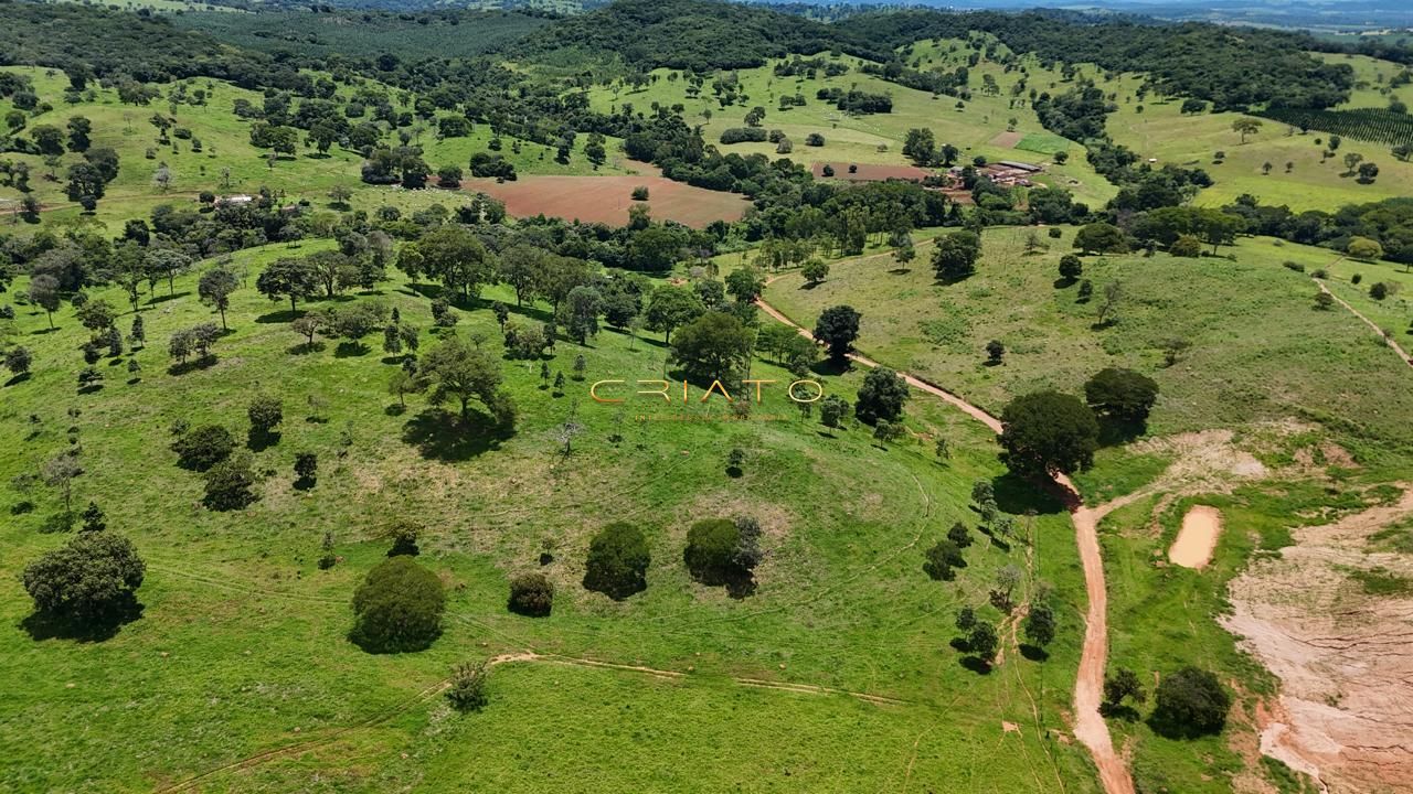 Fazenda, 44 hectares - Foto 15