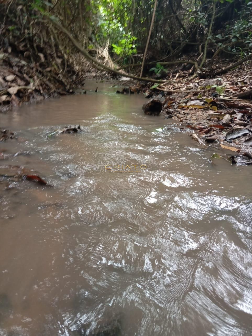 Chácara conquista - 45km de anápolis
