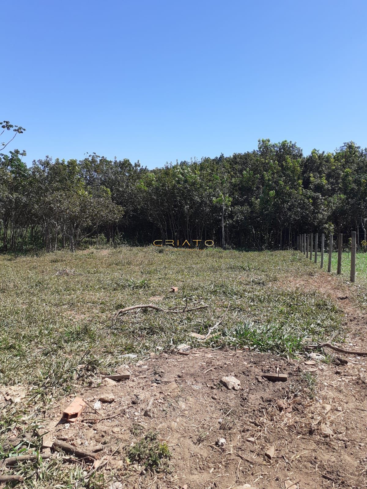 Fazenda à venda com 3 quartos, 20000m² - Foto 28