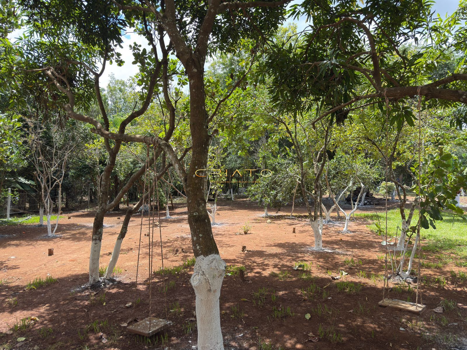 Chácara, 3 quartos, 4000 m² - Foto 10