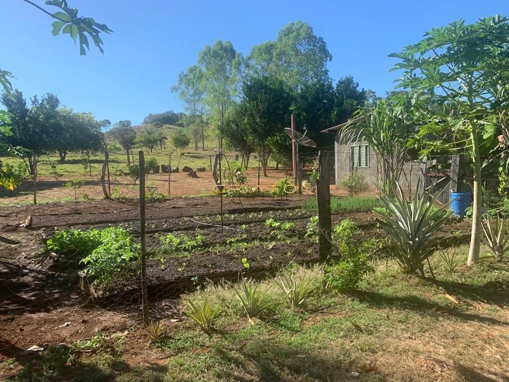 Sítio à venda com 2 quartos, 620000m² - Foto 35