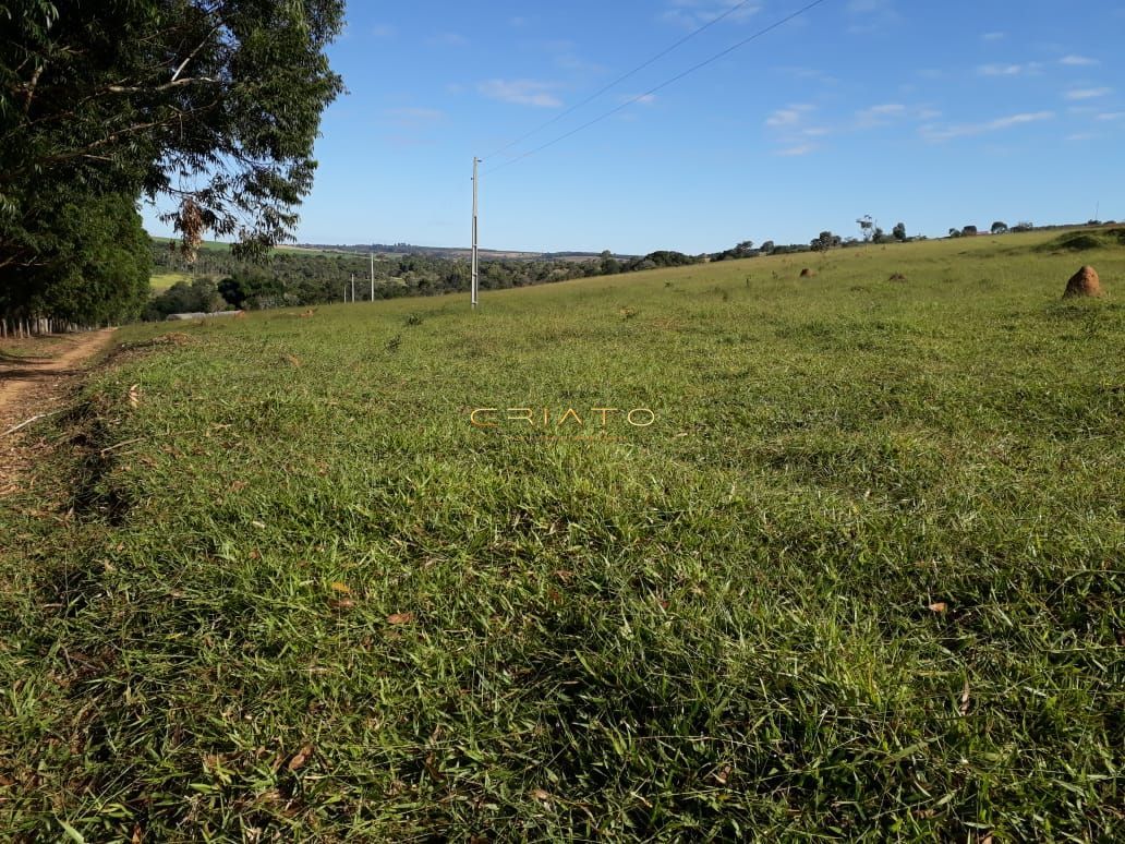 Fazenda à venda com 3 quartos, 150m² - Foto 8