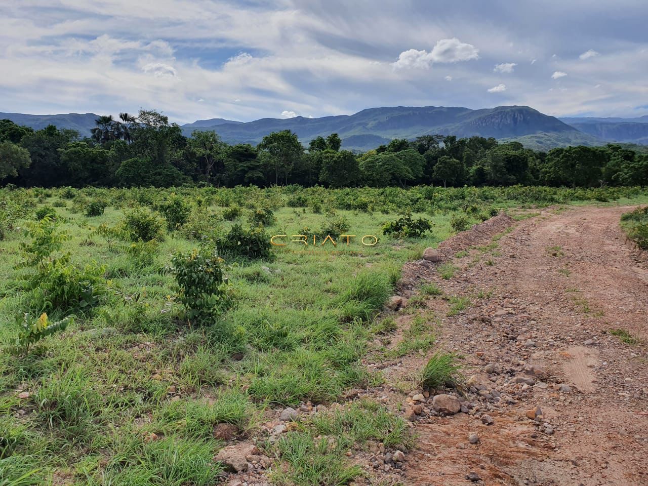 Fazenda à venda com 3 quartos, 120m² - Foto 16