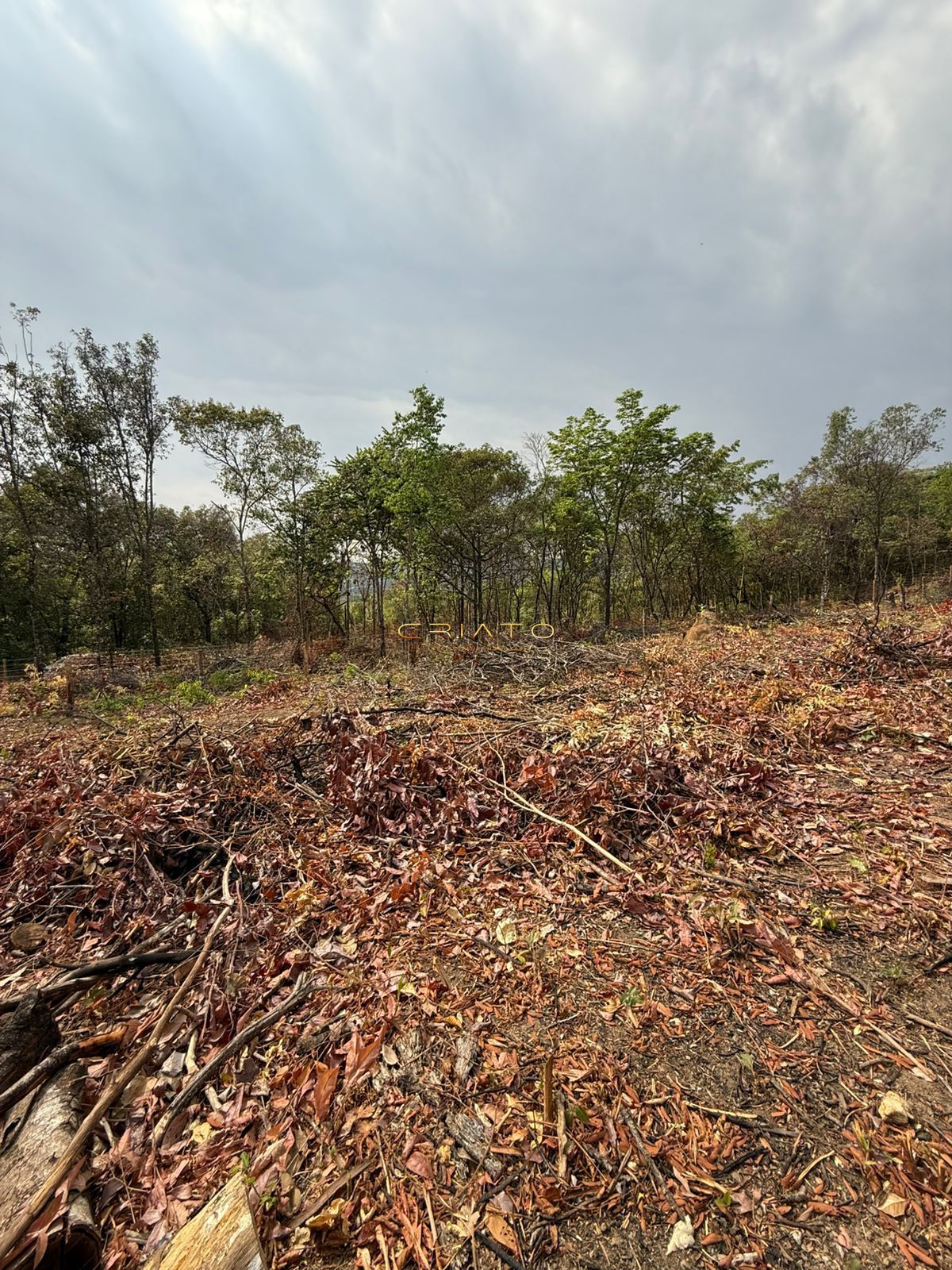 Terreno, 1221 m² - Foto 13