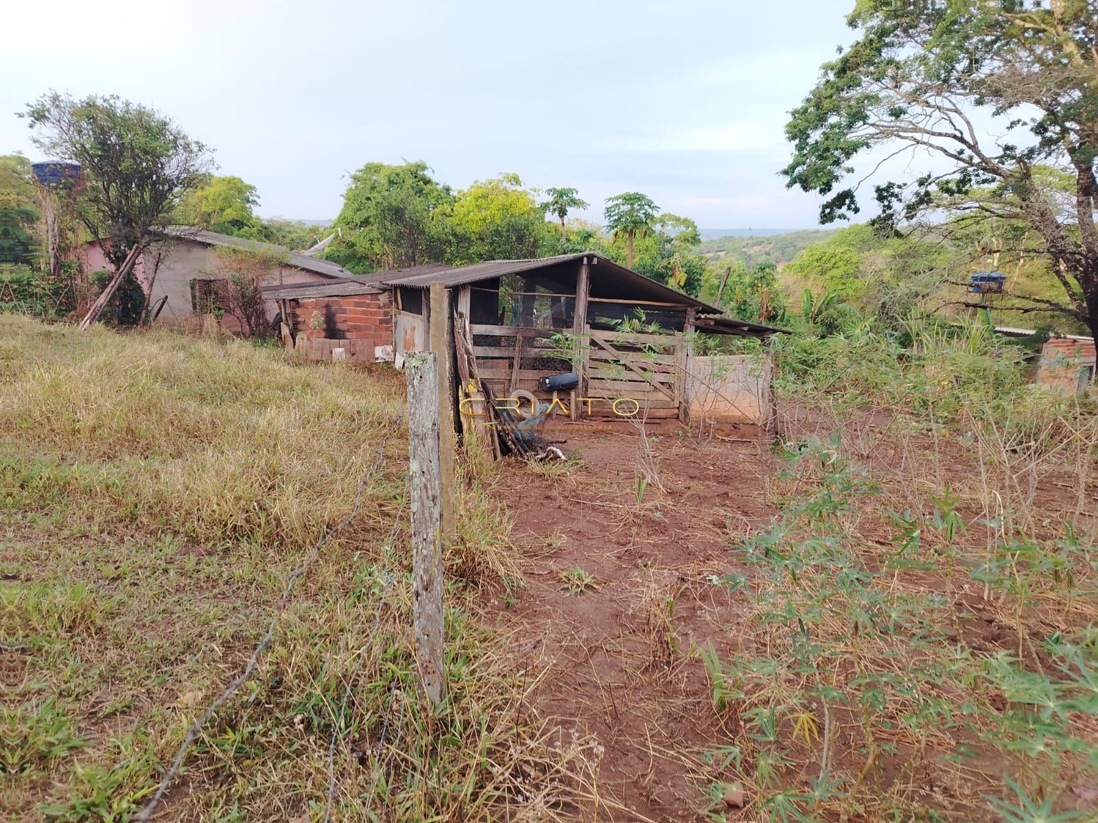 Fazenda à venda com 3 quartos, 5000m² - Foto 7