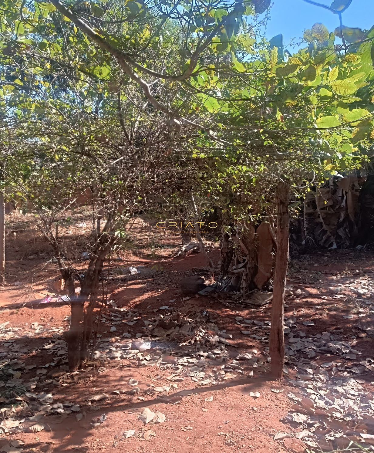 Loteamento e Condomínio à venda, 1000m² - Foto 11