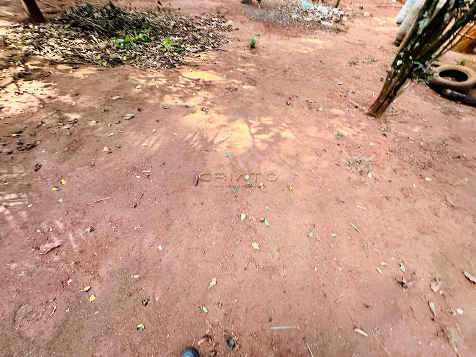 Fazenda à venda com 2 quartos, 40000m² - Foto 12