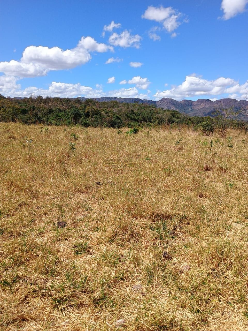 Fazenda à venda com 2 quartos, 5390000m² - Foto 15