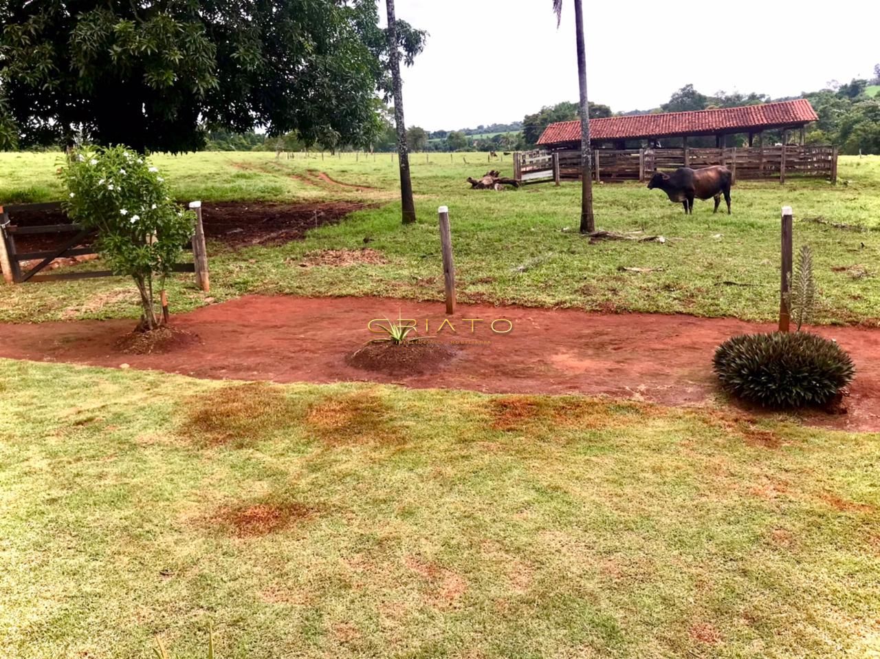 Fazenda à venda com 2 quartos, 150m² - Foto 31