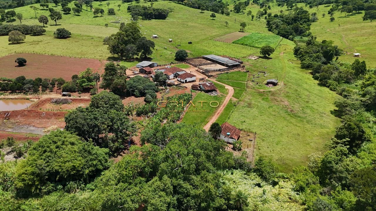 Fazenda, 44 hectares - Foto 13
