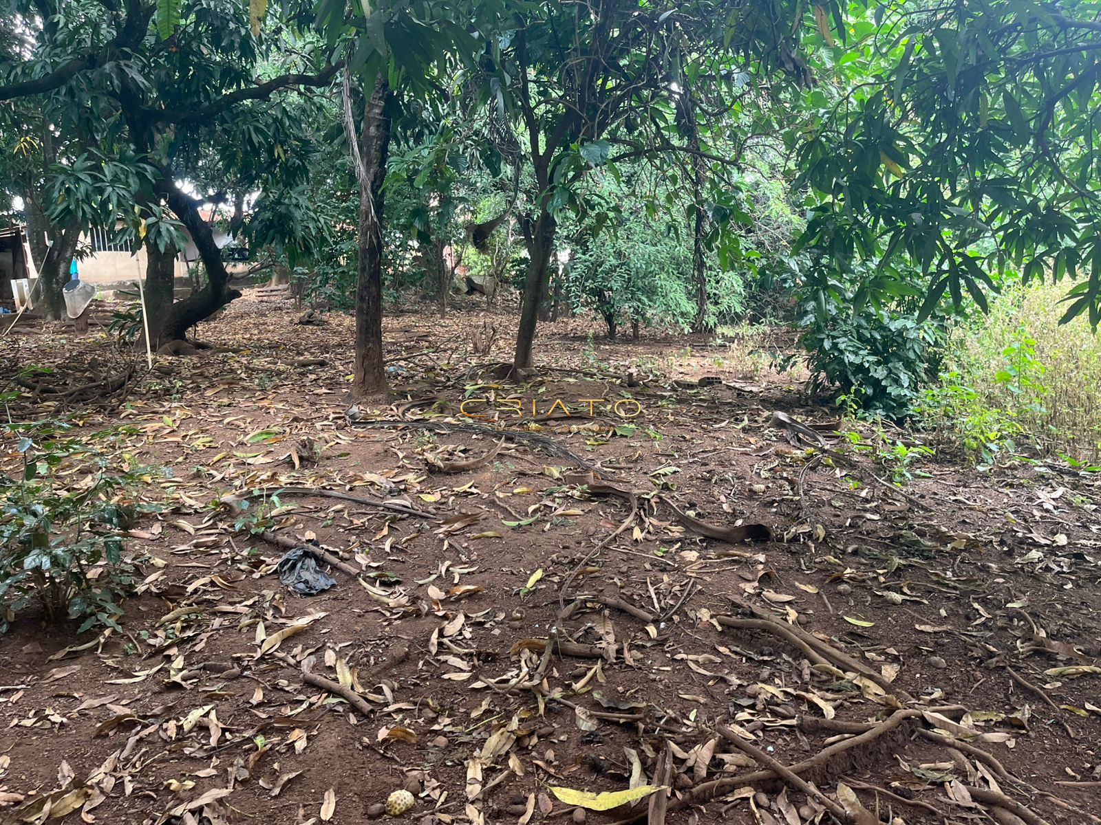 Terreno, 3200 m² - Foto 1