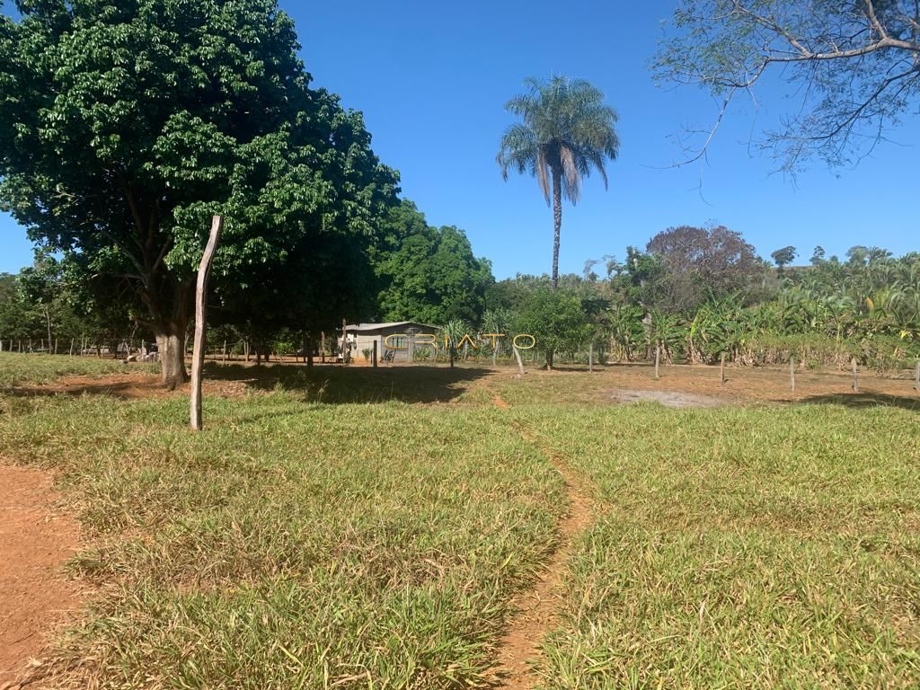 Sítio à venda com 2 quartos, 620000m² - Foto 16