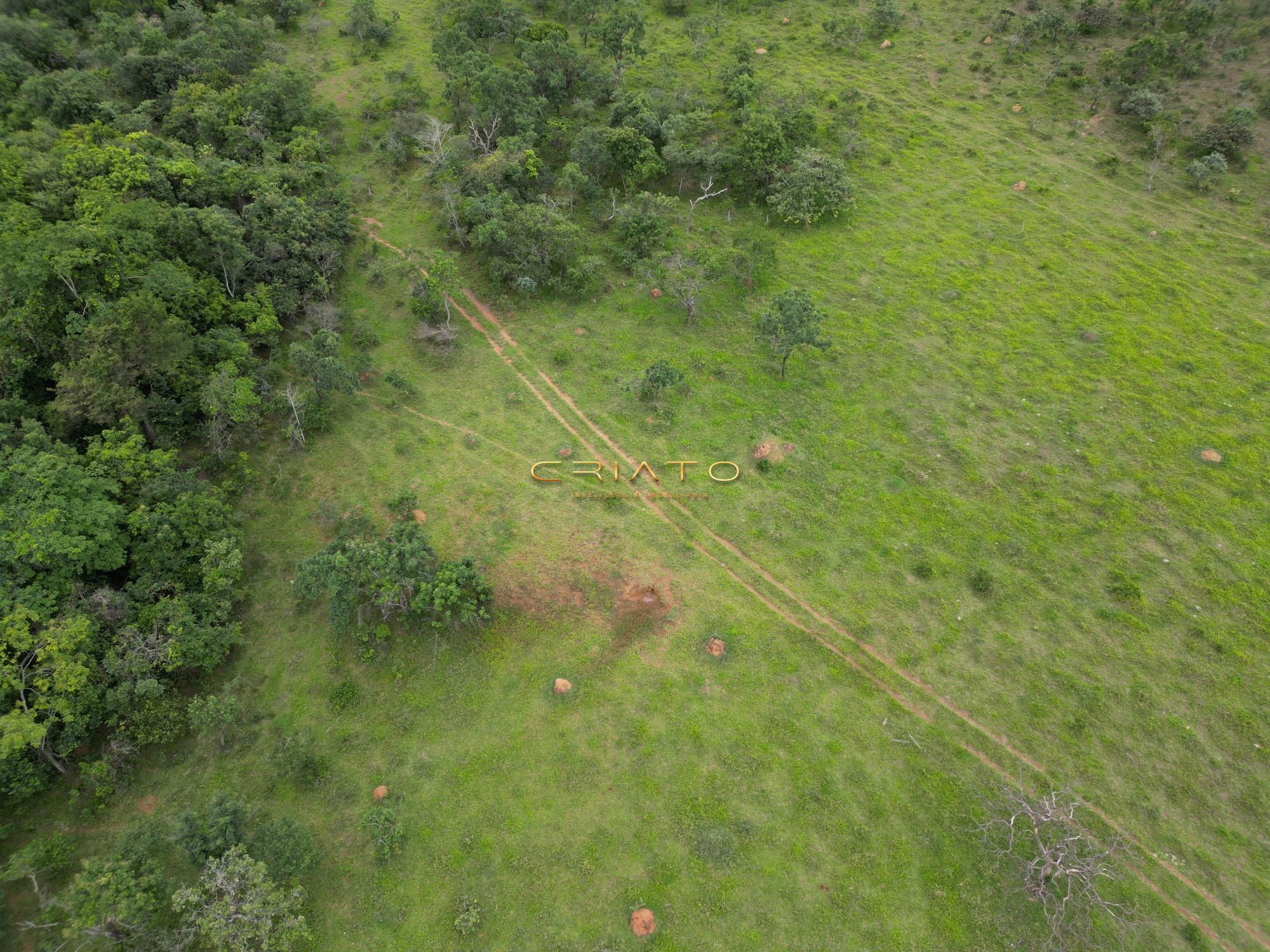 Fazenda à venda, 96000m² - Foto 3