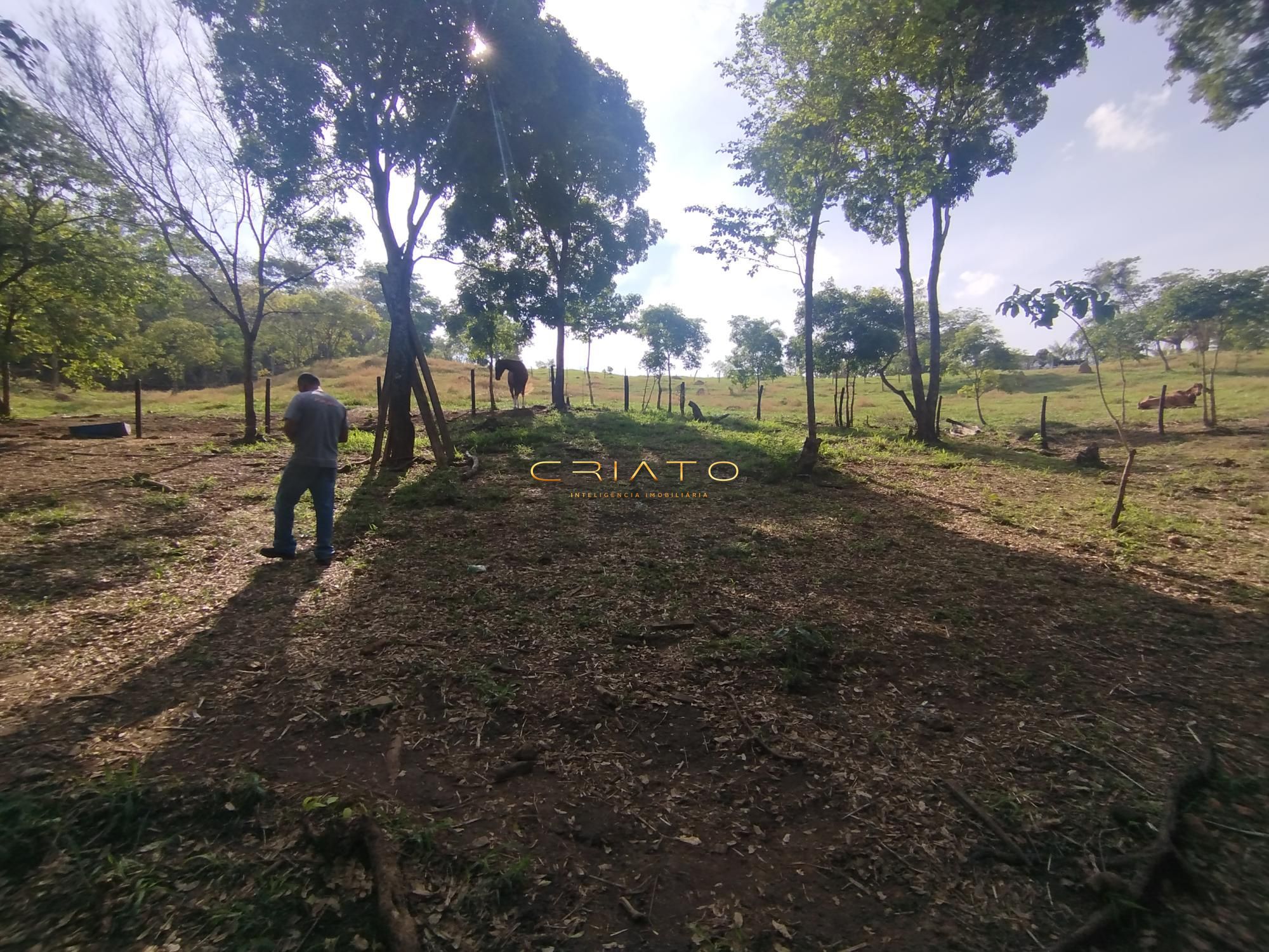 Fazenda à venda com 5 quartos, 18000m² - Foto 5