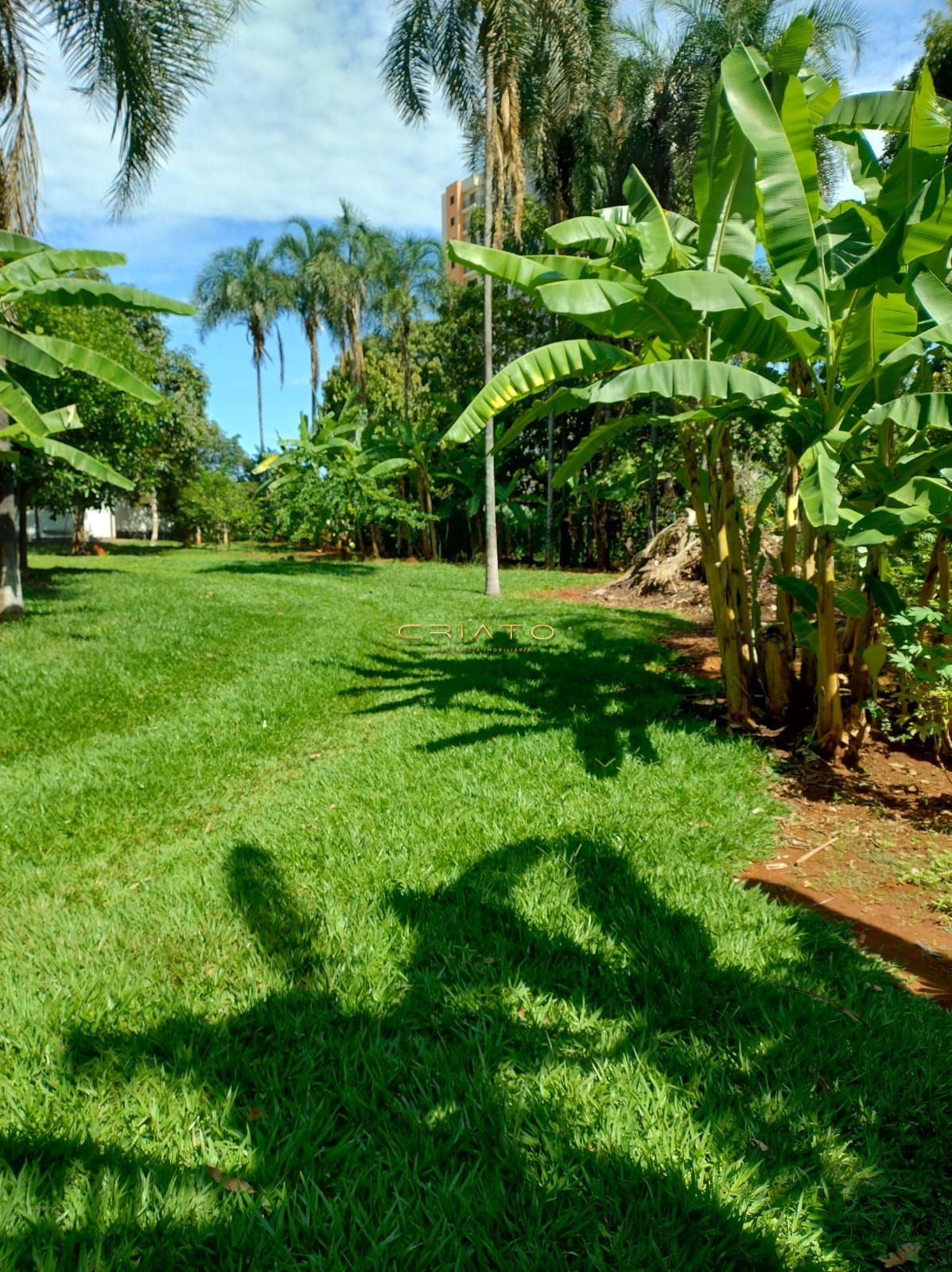 Fazenda/sítio/chácara/haras à venda  no Chácaras Americanas - Anápolis, GO. Imóveis