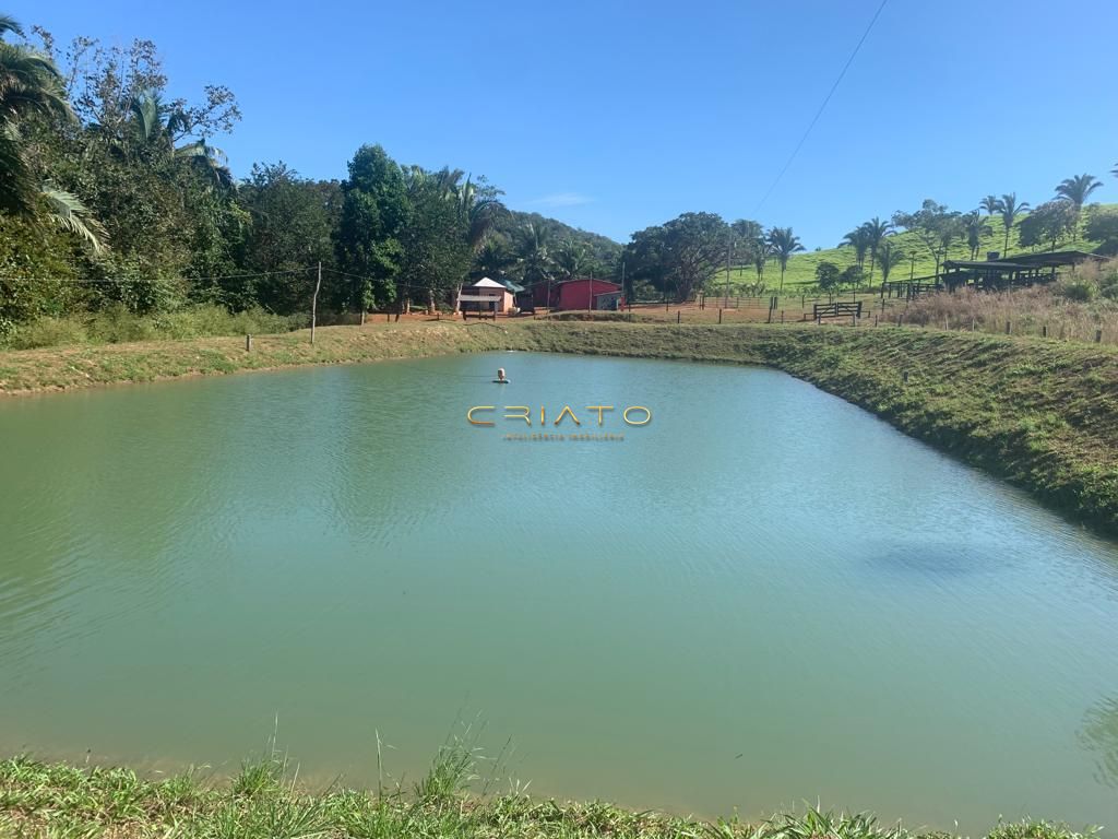 Fazenda à venda com 2 quartos, 620000m² - Foto 21