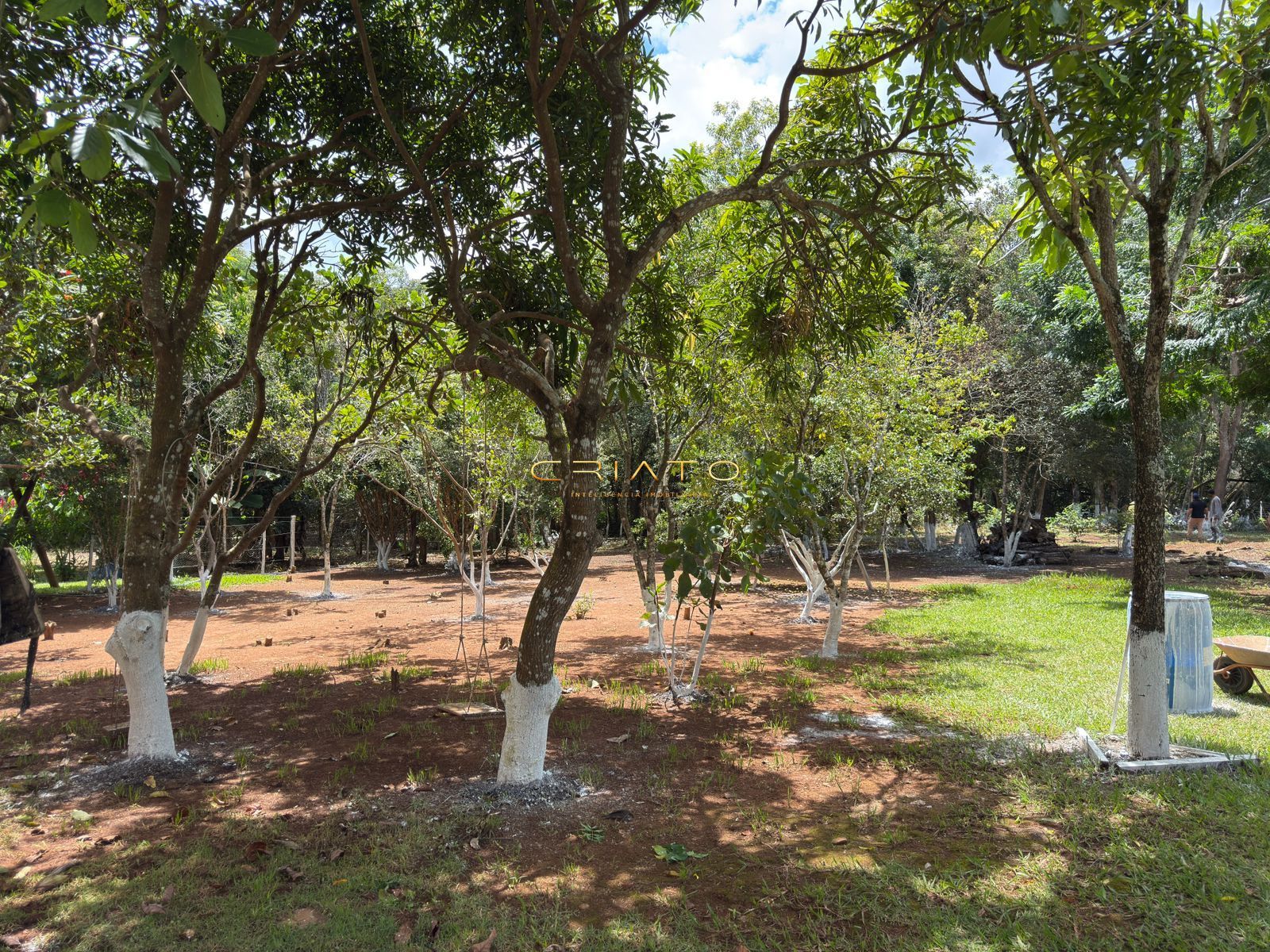 Chácara, 3 quartos, 4000 m² - Foto 8