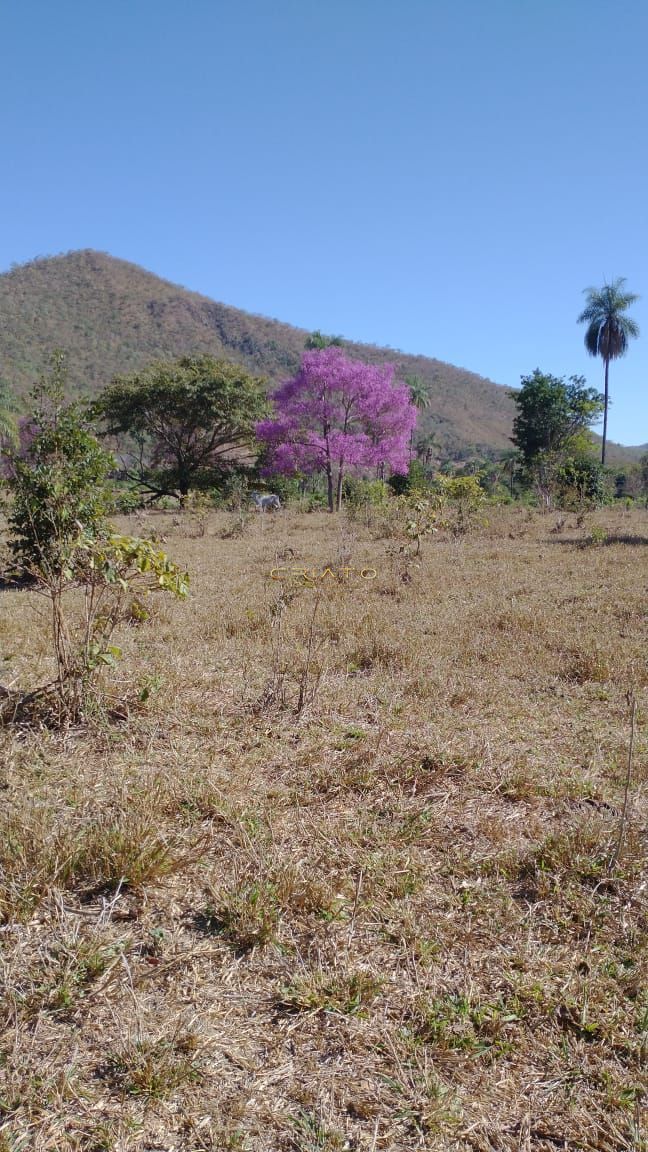 Fazenda à venda com 2 quartos, 80m² - Foto 9