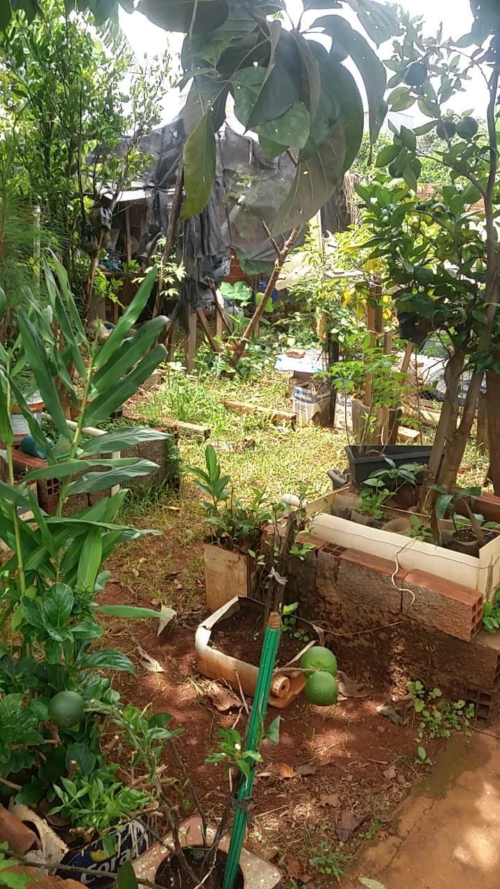 Casa 3 dormitórios à venda jk setor oeste anápolis/go