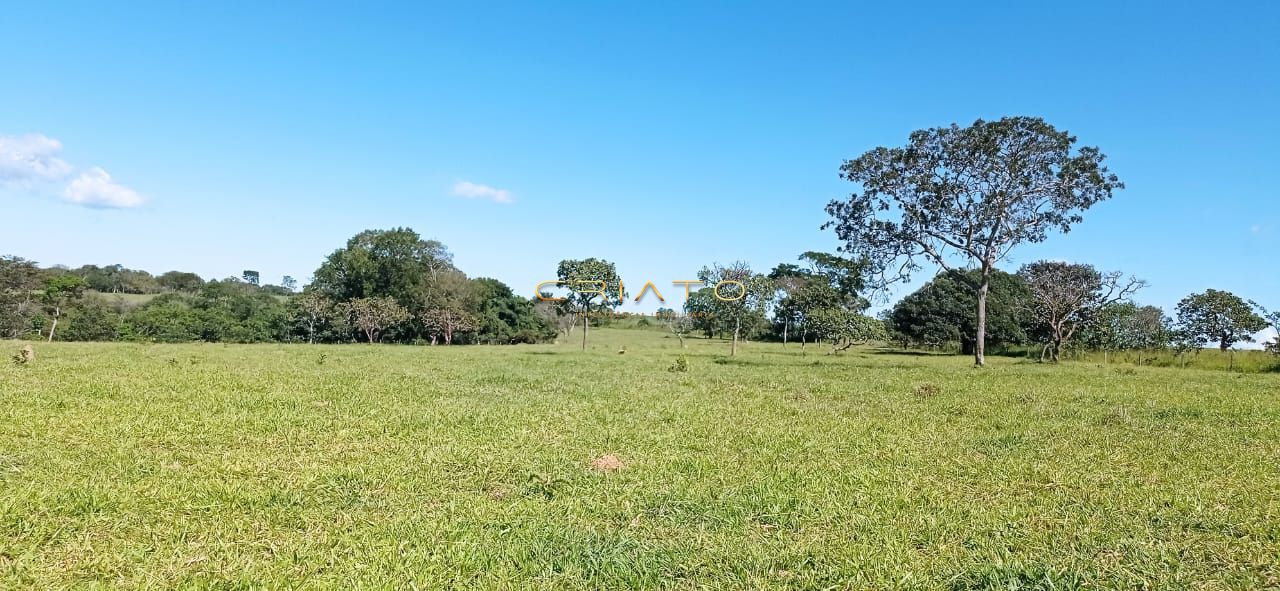 Fazenda à venda com 2 quartos, 240000m² - Foto 15