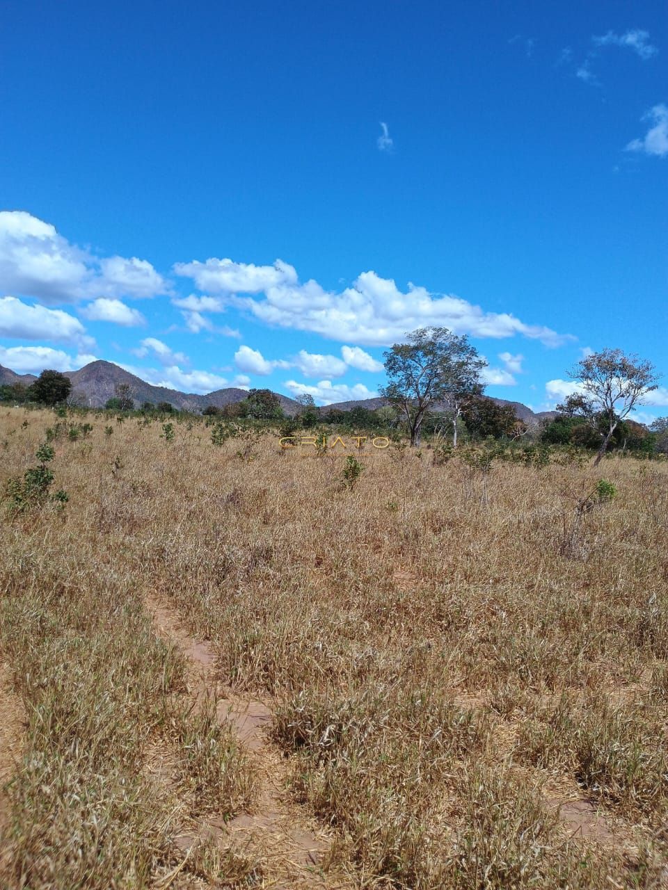 Fazenda à venda com 2 quartos, 5390000m² - Foto 34