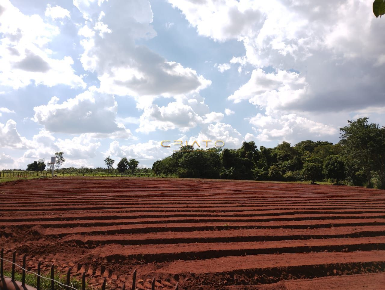 Chácara à venda com 2 quartos, 20000m² - Foto 15