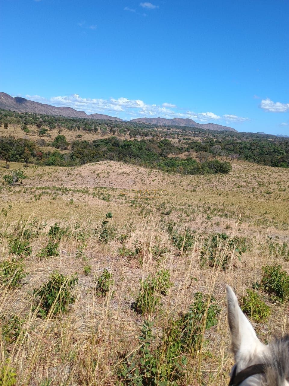 Fazenda à venda com 2 quartos, 5390000m² - Foto 11