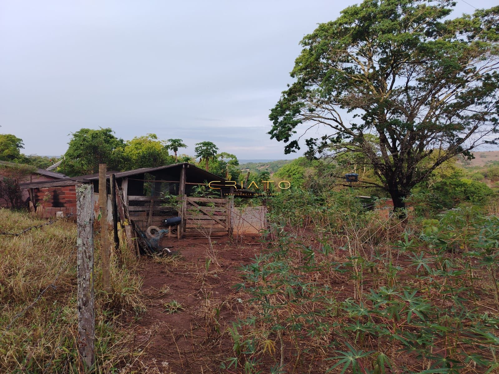 Fazenda à venda com 3 quartos, 5000m² - Foto 10