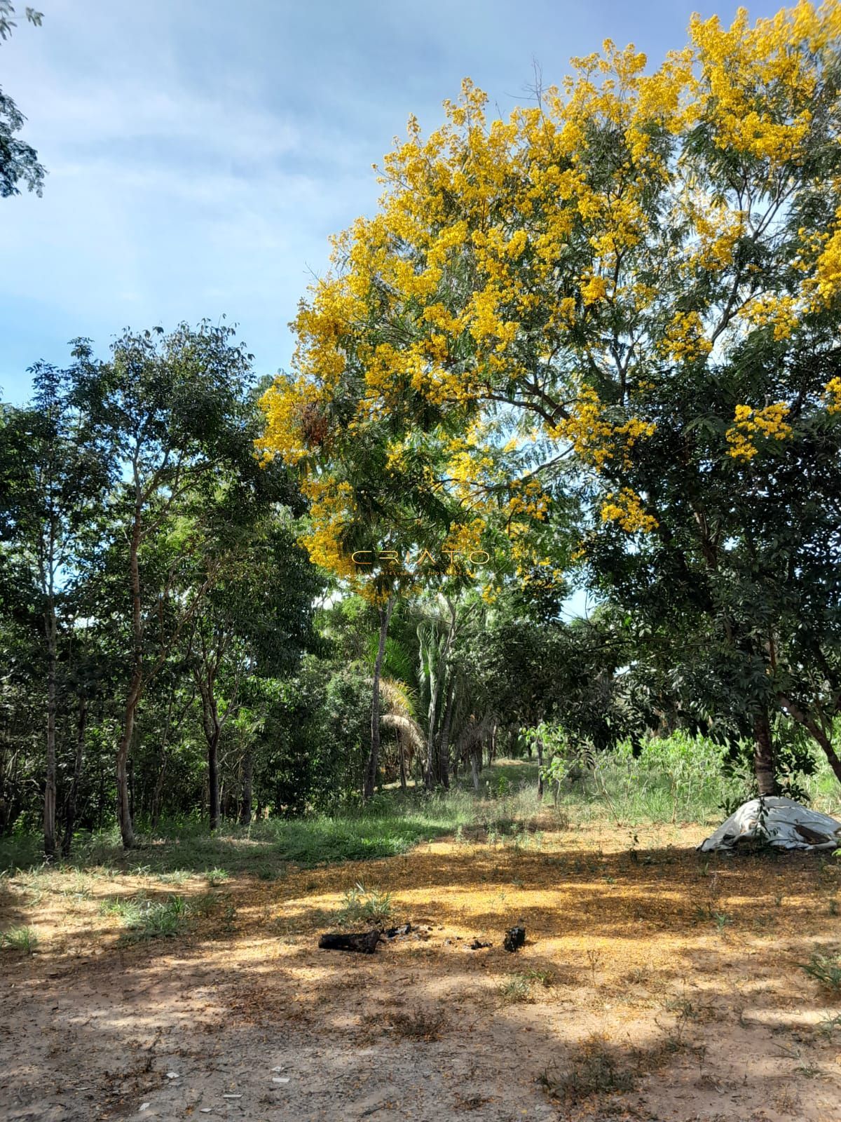 Chácara, 2 quartos, 3640 m² - Foto 16