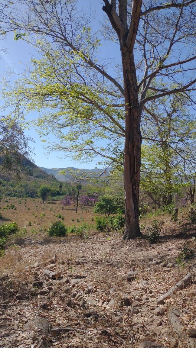 Fazenda à venda com 2 quartos, 80m² - Foto 8