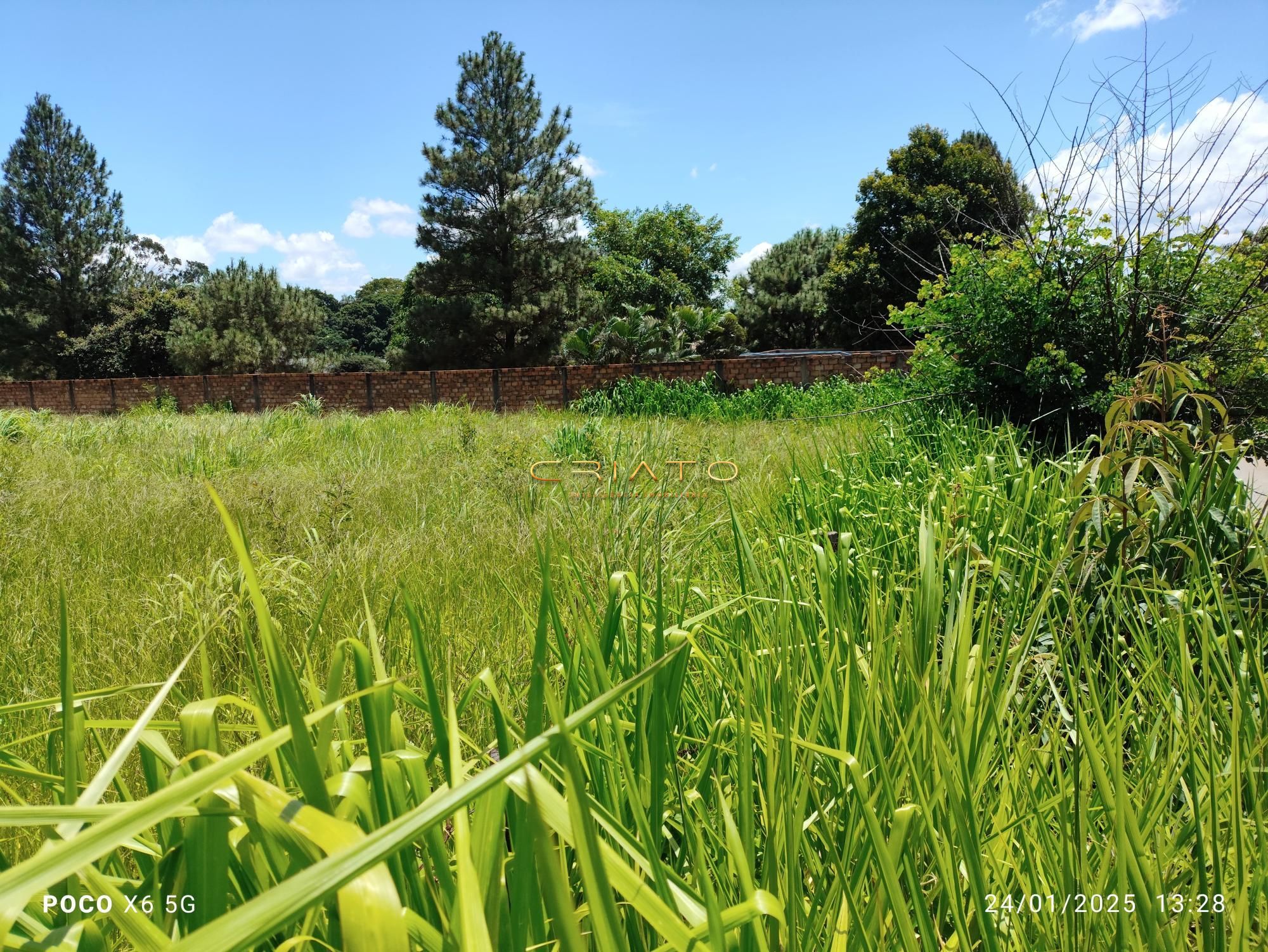 Terreno à venda, 4000m² - Foto 6