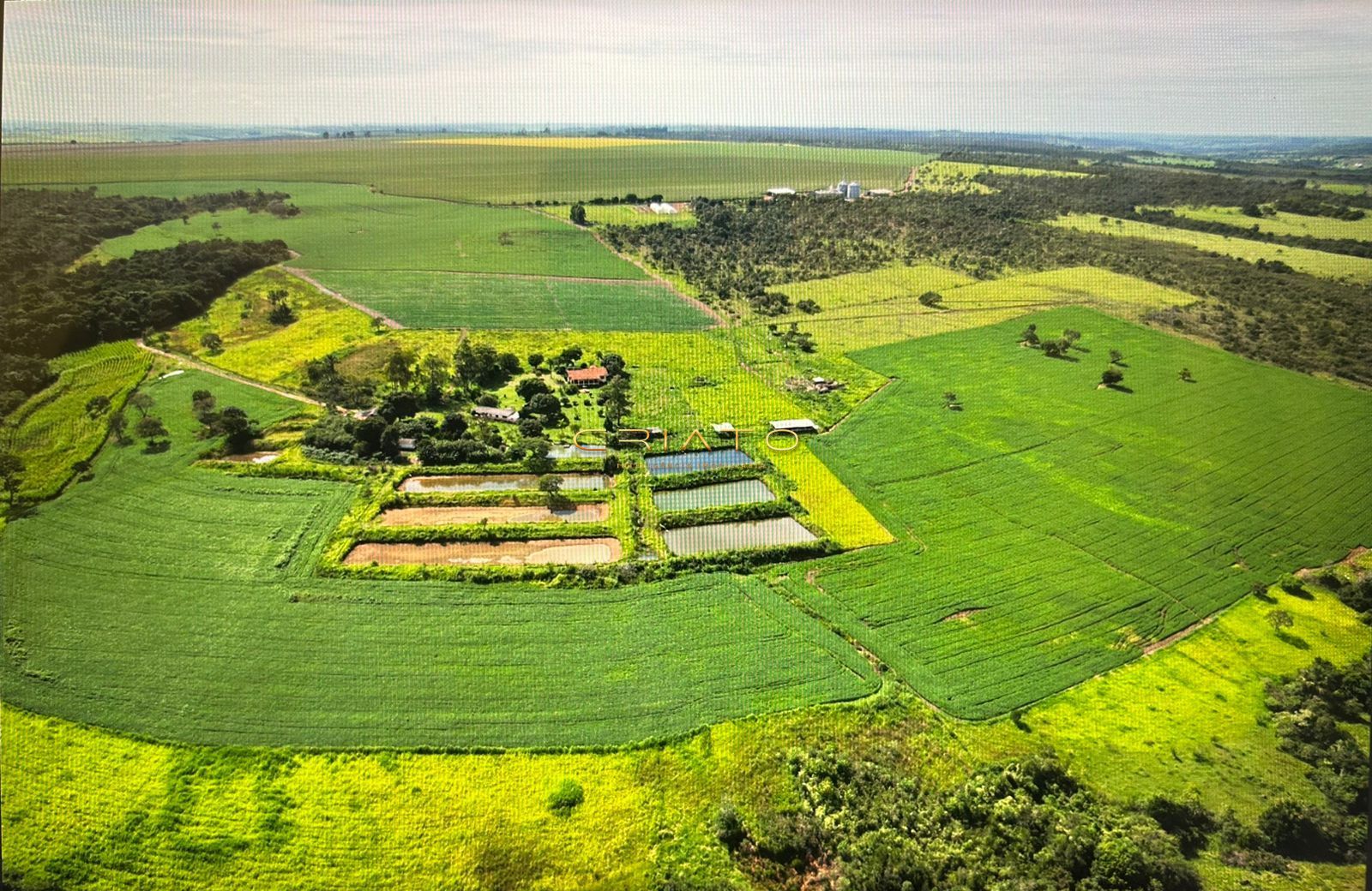 Fazenda/stio/chcara/haras  venda  no Zona Rural - Alexnia, GO. Imveis