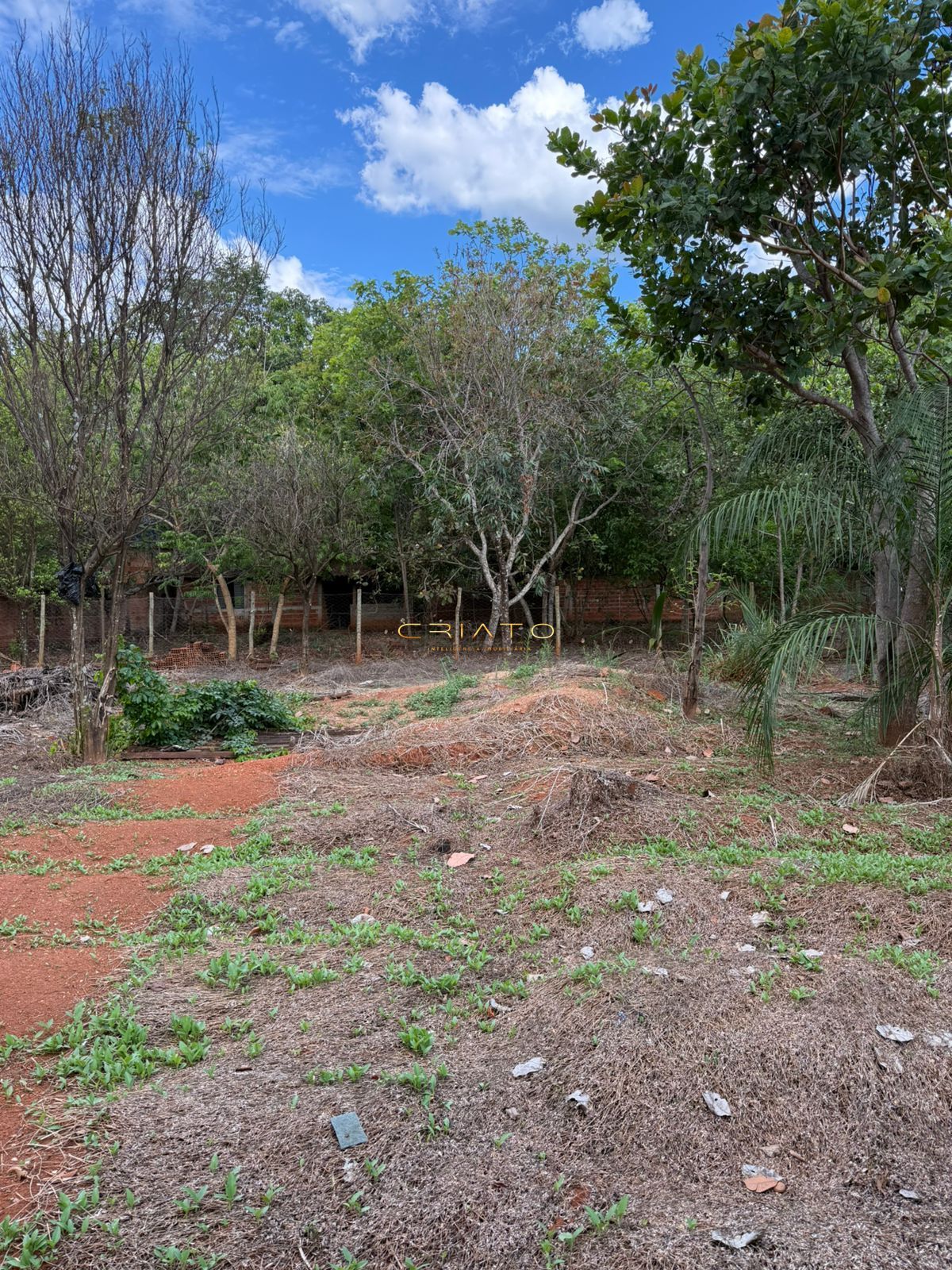 Terreno, 2631 m² - Foto 25