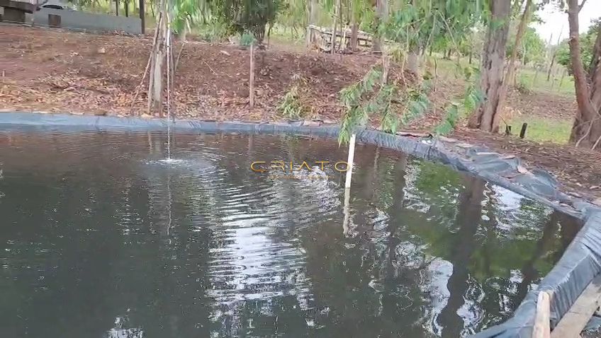 Sítio, 3 quartos, 2 hectares - Foto 3