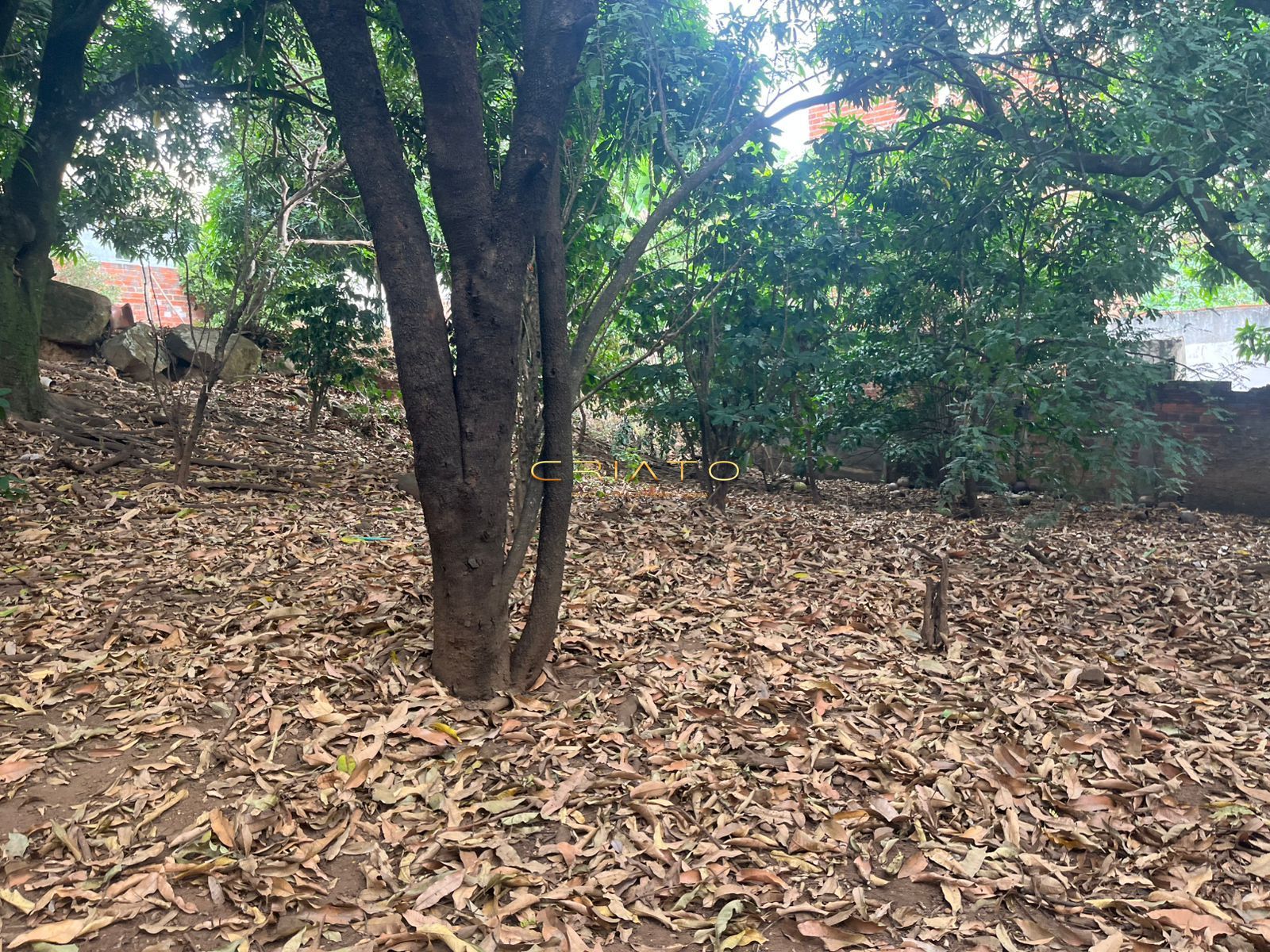 Terreno, 3200 m² - Foto 10