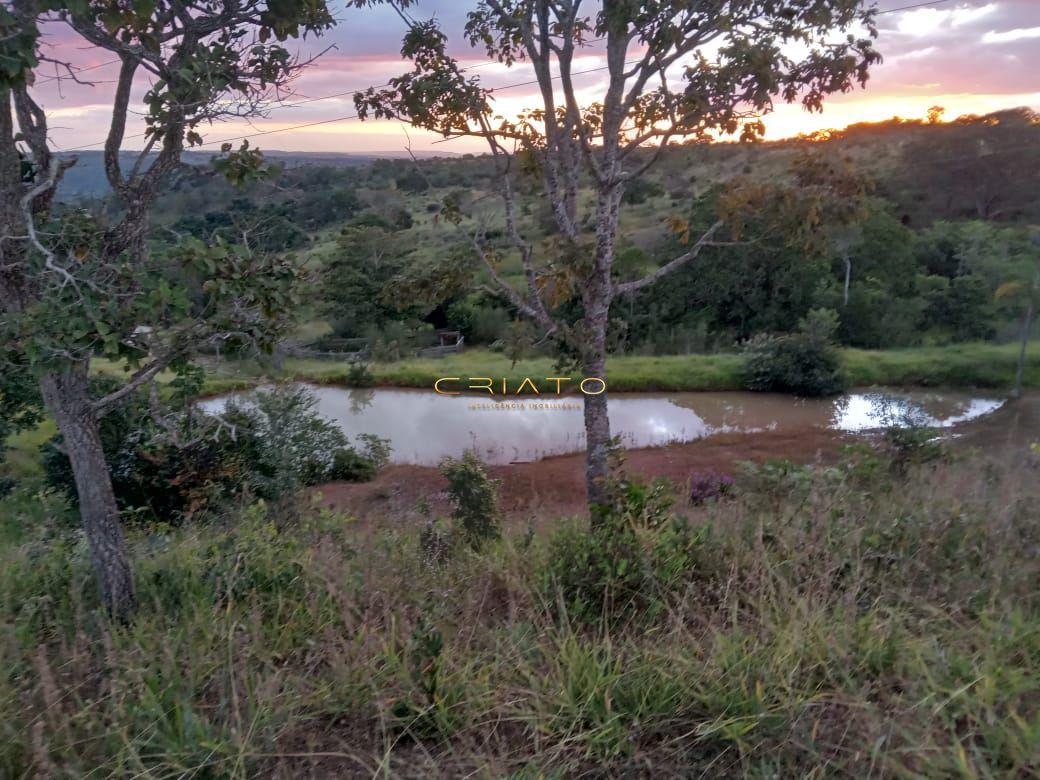 Fazenda à venda com 2 quartos, 36m² - Foto 7