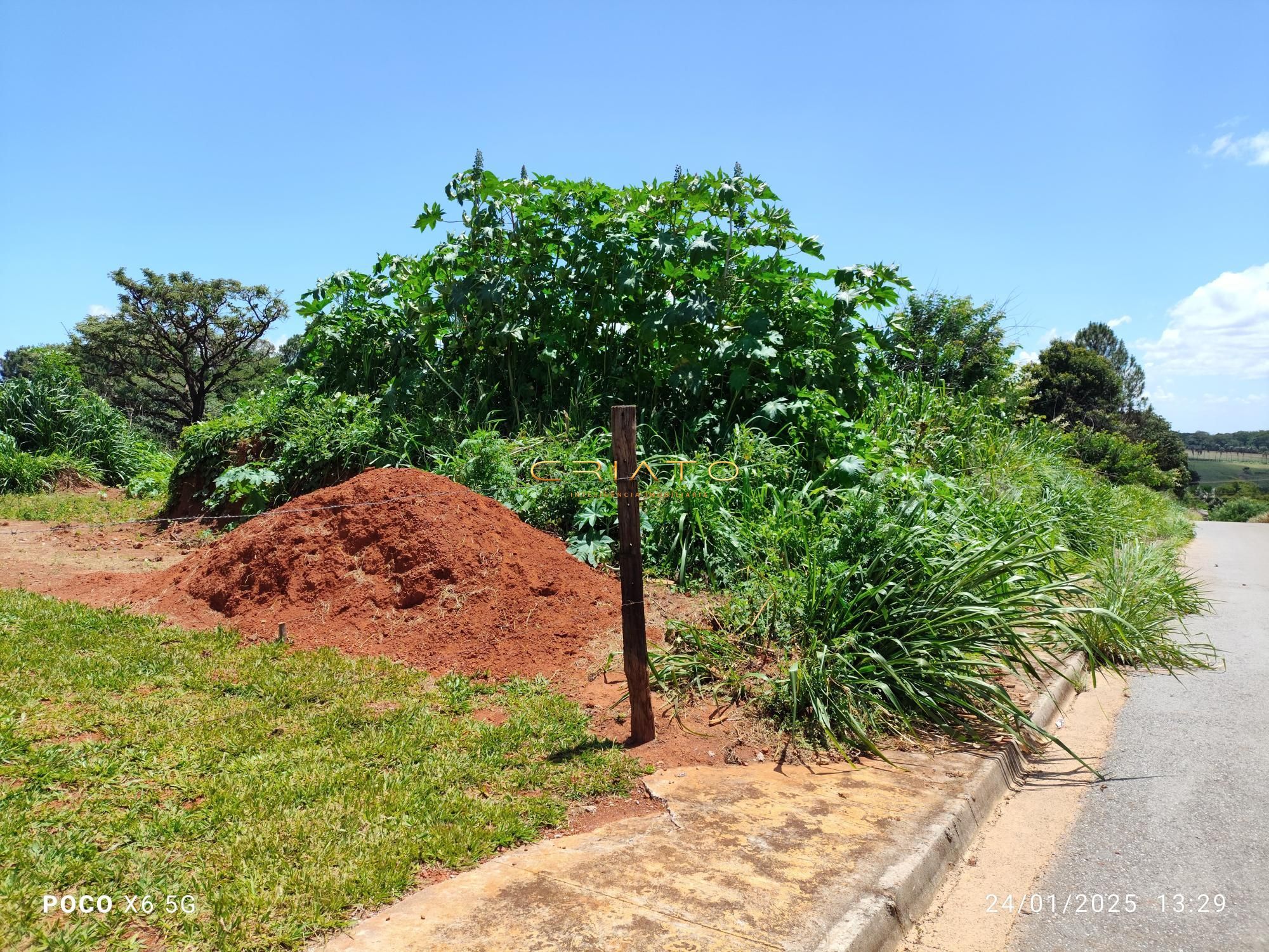 Terreno à venda, 4000m² - Foto 2