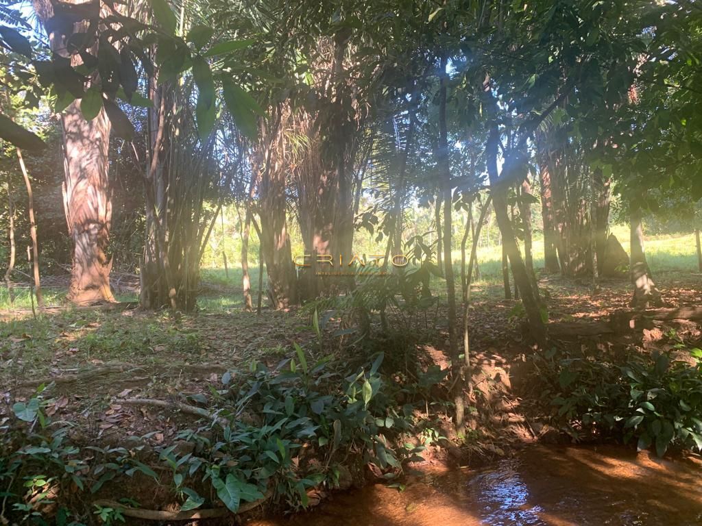 Fazenda à venda com 2 quartos, 620000m² - Foto 25