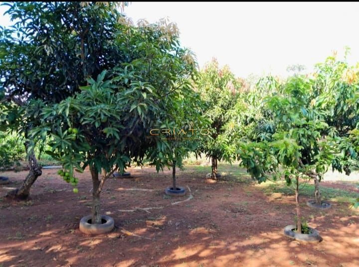 Chácara à venda com 3 quartos, 160m² - Foto 13
