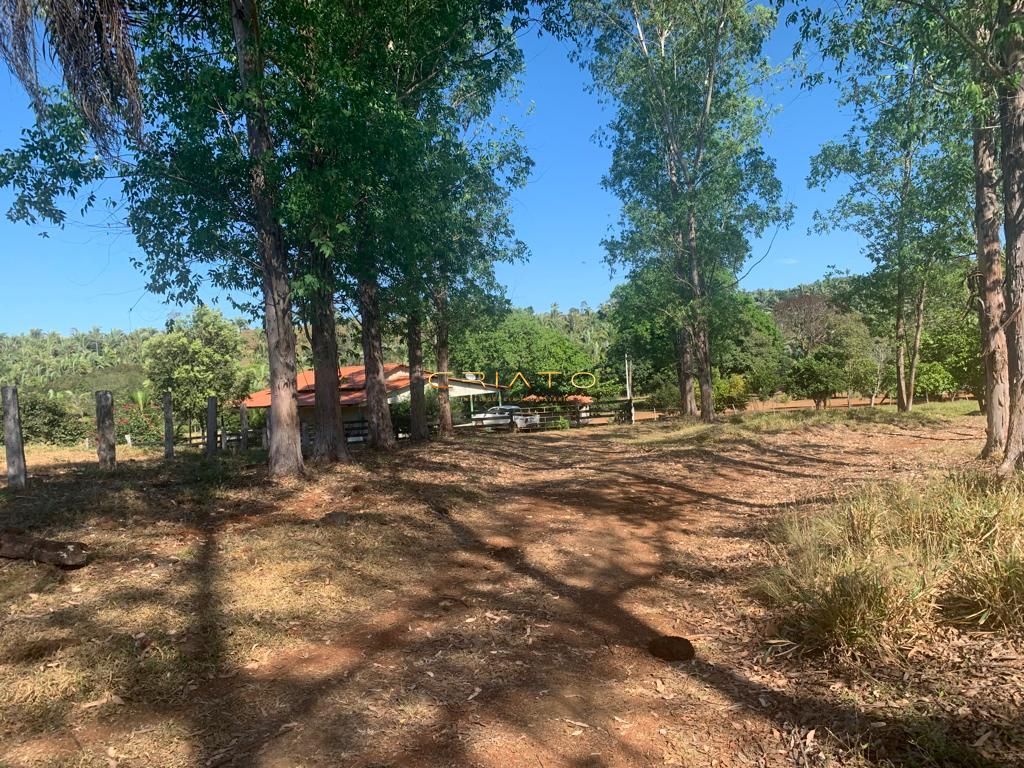 Fazenda à venda com 2 quartos, 6200000000m² - Foto 4