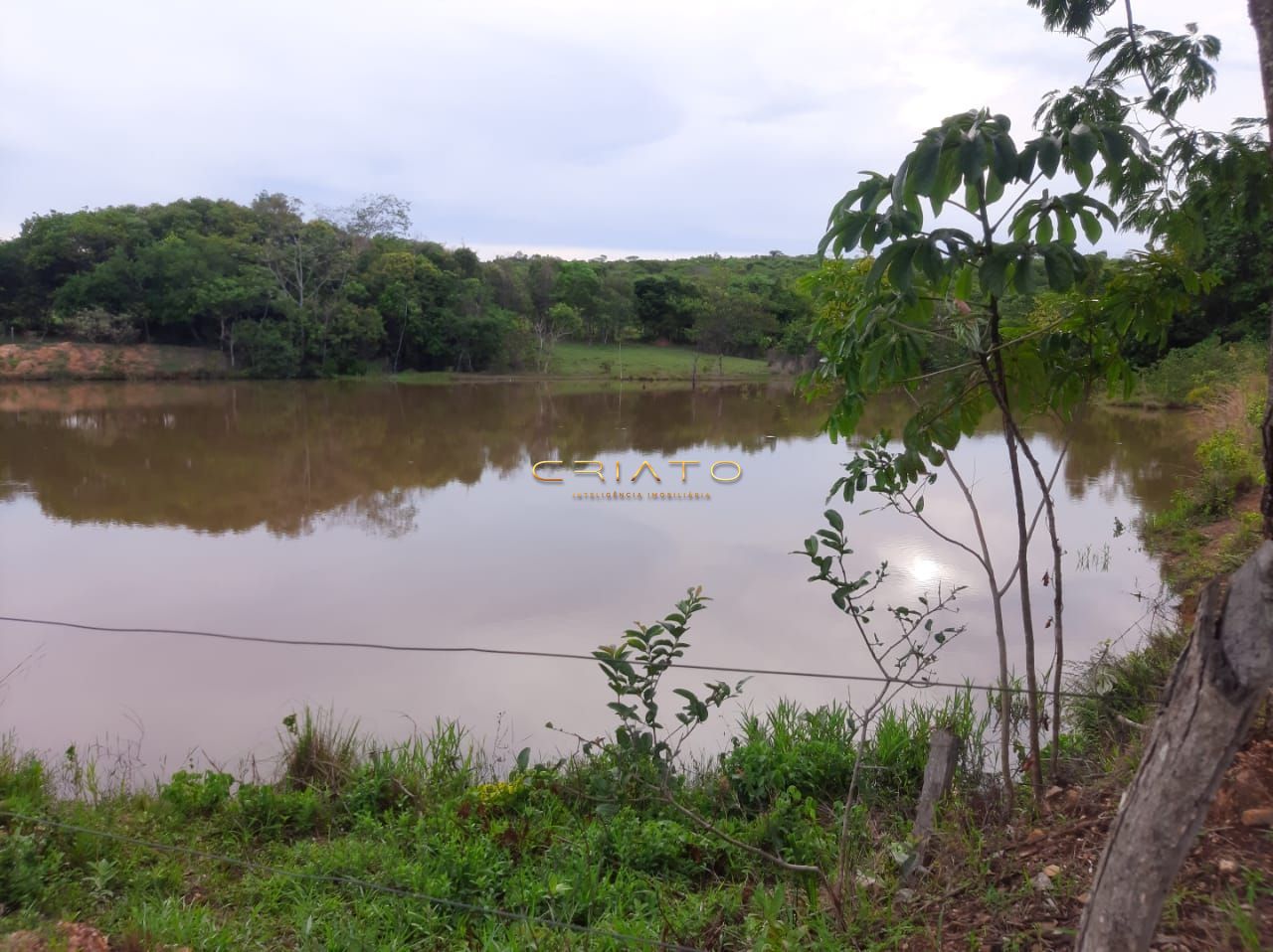 Fazenda/Sítios/Chácaras de no bairro Zona Rural, em Silvânia | Eu Corretor