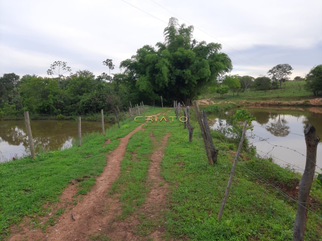 Fazenda/Sítios/Chácaras de no bairro Zona Rural, em Silvânia | Eu Corretor