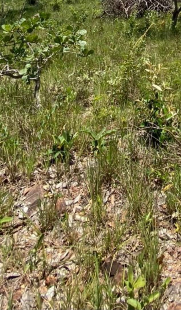 Chácara de no bairro Zona Rural, em Pirenópolis | Eu Corretor
