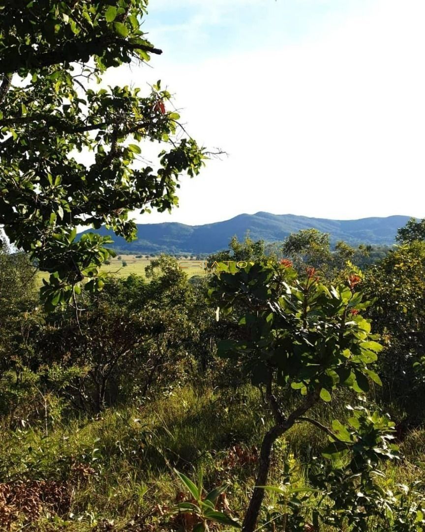 Fazenda-Sítio-Chácara, 1000 hectares - Foto 2