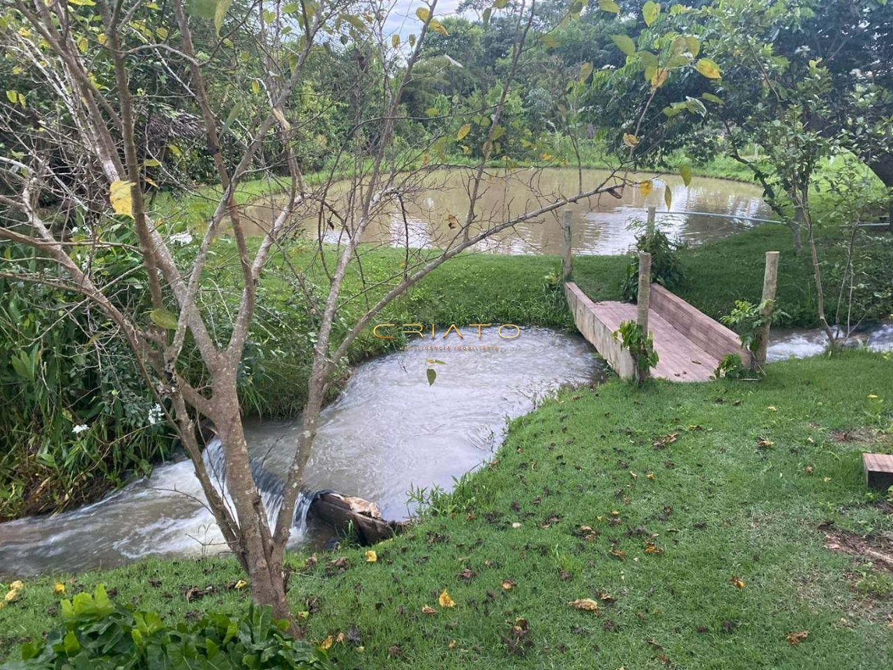 img36134659
