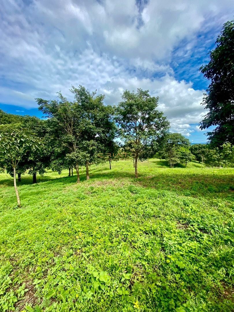 Chácara de 1 quarto, no bairro Zona Rural, em Goianápolis | Eu Corretor
