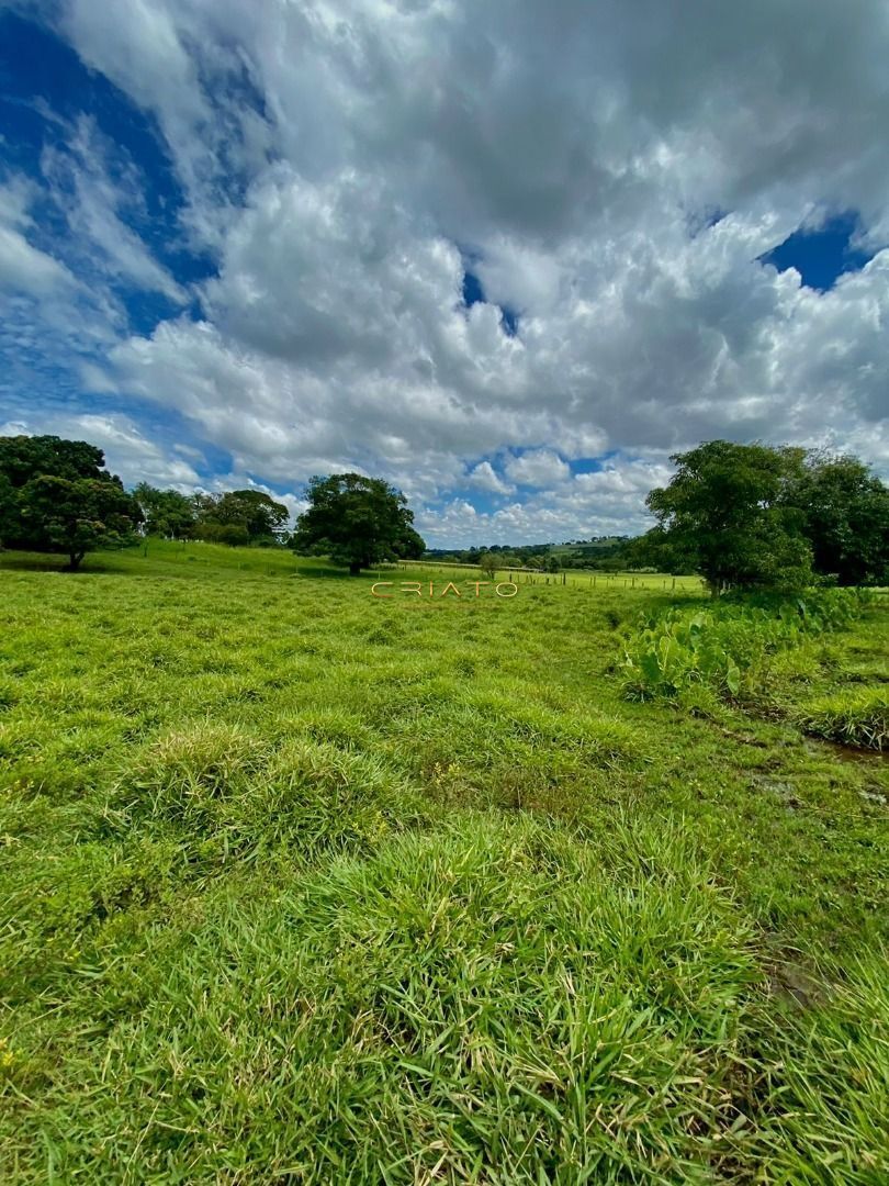 Fazenda/Sítios/Chácaras de no bairro Zona Rural, em Terezópolis de Goiás | Eu Corretor