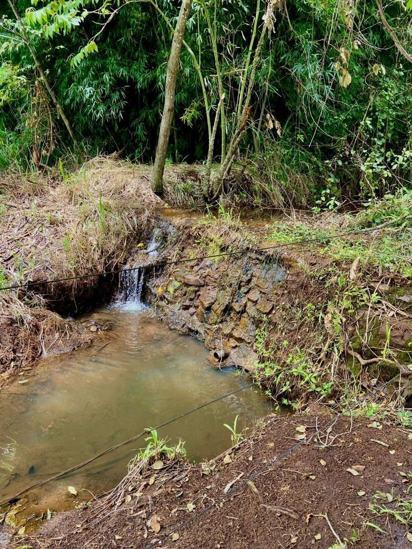 Fazenda/Sítios/Chácaras de no bairro Zona Rural, em Terezópolis de Goiás | Eu Corretor